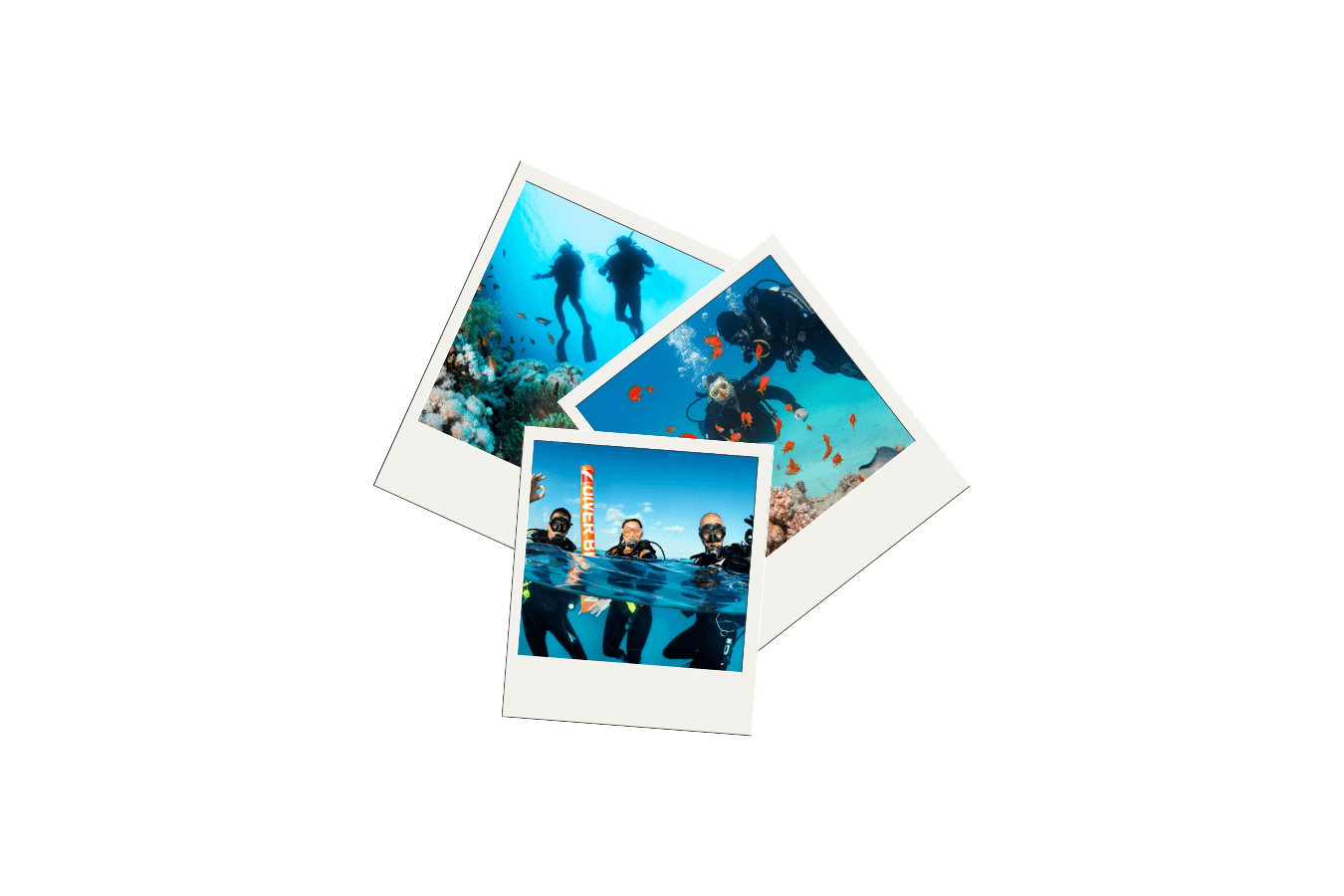 SCUBA Diving Collage